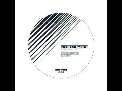 Nicolas Bacher - Wrecking Balls (Snello Remix) [AMONG01]