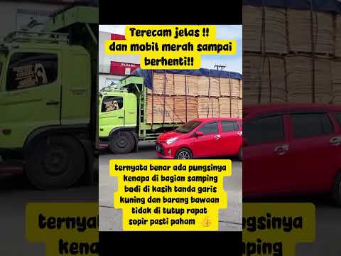 ada apa dengan mobil merah !! #jalanyangjauhjanganlupapulang #automobile #truckmania #viralshorts