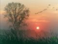 Painter Song - Norah Jones