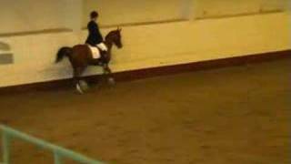 Minigårdens Anisette, LA:1