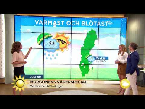 Så blir sommarvädret i dag - Nyhetsmorgon (TV4)