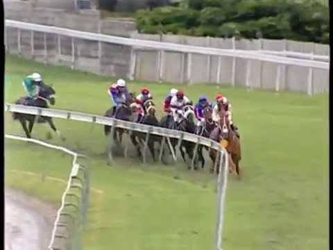 16 - 2014 THE HINTERLAND CUP