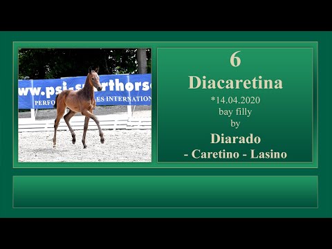 6 Diacaretina by Diarado - Caretino - Lasino