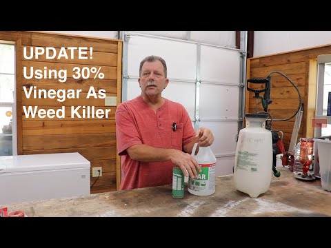 How To Use 30% Vinegar As Organic Weed Killer, 2024 Update