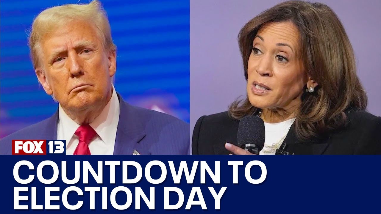Countdown to Election Day: New polls show Trump holding lead | FOX 13 Seattle