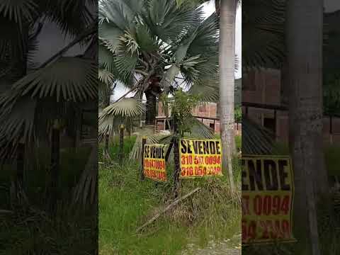 caminando en las veredas de Restrepo valle Colombia