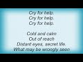 Sick Of It All - Cry For Help Lyrics