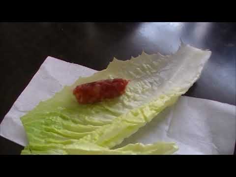 Caminata L'Horta Borbotó Godella  Informática