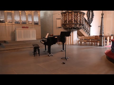 Piano Suite No. 1 - Meeuw