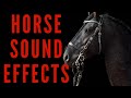 HORSE SOUND EFFECTS Neighing Horses