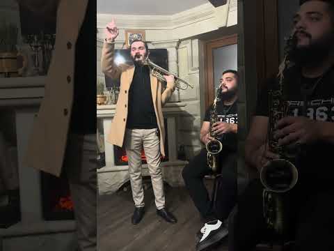 Vasile Tinei program de melodii