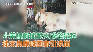 小黃誤觸捕獸夾　徐文良暖喊回家引淚崩