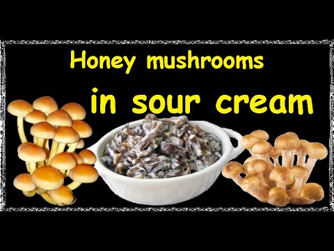 Honey mushrooms in sour cream / Book of recipes / Bon Appetit
