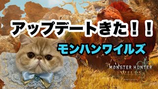 【モンハンワイルズ】アプデの色々やってみよう