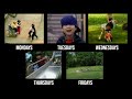 Sesame Street Seasons 20 23 Show Open Comparison 1988 1992