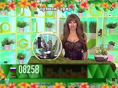 Ольга Козина - "Счастливый час" (28.06.16)