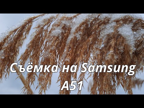 Декабрь. Видео о природе. Съёмка на телефон  Samsung Galaxy A51