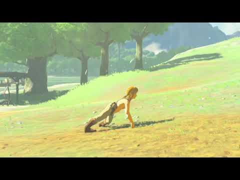 Video thumbnail for Exercise with Link