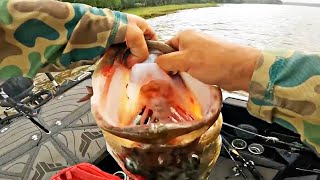 The Biggest Bass in 35+ Years of Fishing