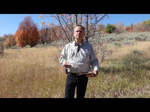 The Amazing Solar Fire Starter