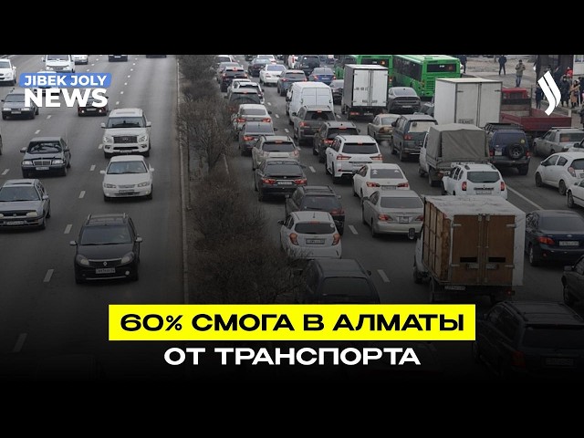 60% смога – от транспорта: экорейды на дорогах мегаполиса