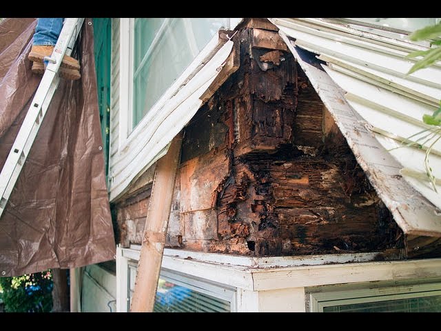 How to Perform a Rot Repair