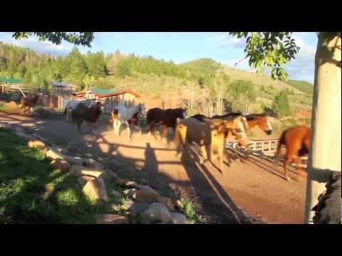 Best Colorado Dude Ranch! - Black Mountain Ranch - McCoy, CO