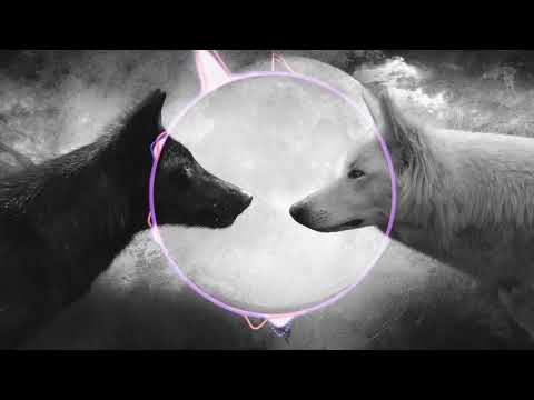 Usaqmuri a.k.a Sulo - მსოფლიო გაყოფილია...