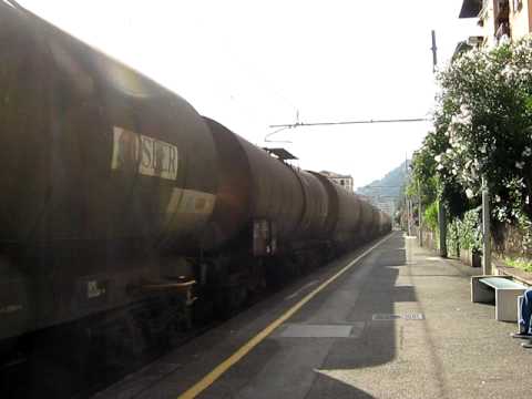 Il Caimano E655 con il merci pericoloso...