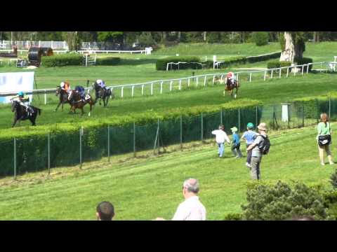 Pardubice 8.5.2015 - Jamil