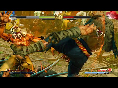 Sagat vs Dhalsim | Level 8 CPU | Street Fighter V