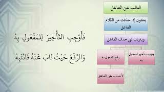 شرح نظم الآجرومية مع التشجير //51//الشيخ محمد محمود الشنقيطي image