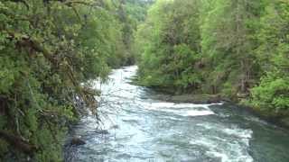 Homosexual Marriage & Child Adoption: Crossing Illegal Borders & Bridge towards Total Decay