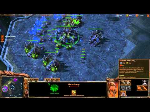 Destiny (Z) vs. tQorGETSLAMT (Z) - Starcraft 2 Ladder