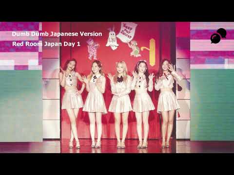 Dumb Dumb Japanese Ver. | Red Room Japan