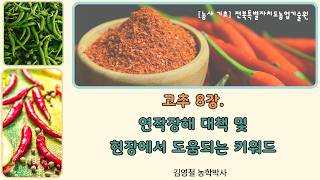 [고품질 고추 재배 기술 8강]  *연작장해, 현장에서 도움되는 키워드 #고품질_고추 #고추재배기술