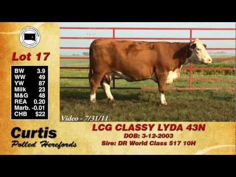 Lot 17: LCG CLASSY LYDA 43N