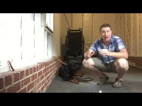 Dog mouth plastic muzzle