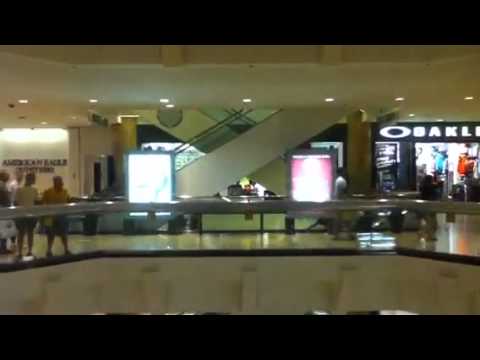 1974 Otis Traction Scenic Elevators @ Water Tower Place Mall