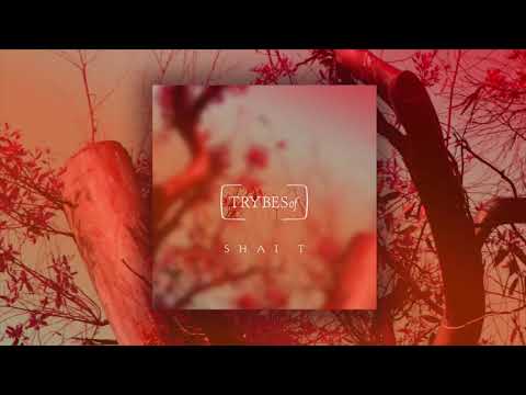 Shai T - Storyteller 8try023)