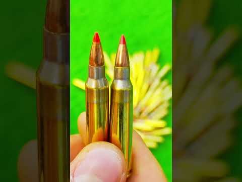 Fiocchi Buckshot 12 Gauge #ammo #12gauge #fiocchi #shotgun #mossberg