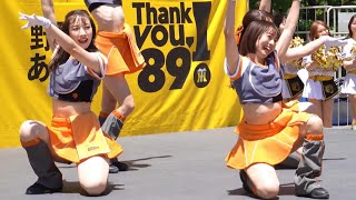 【チアガール】甲子園に「VENUS」がやって来た　阪神ファンもメロメロ