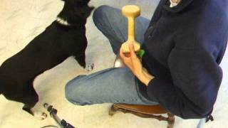 Video: Donna Hill teaching the Hold