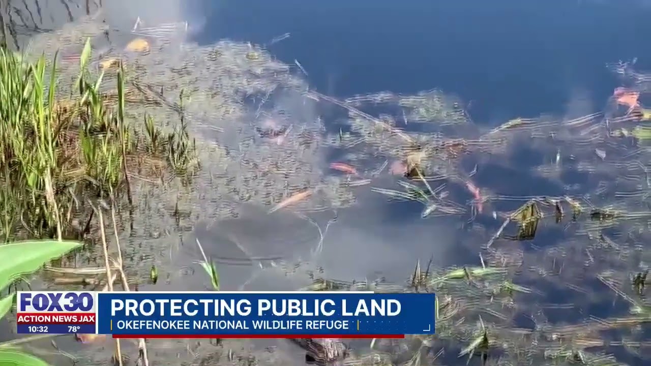 Okefenokee Protection