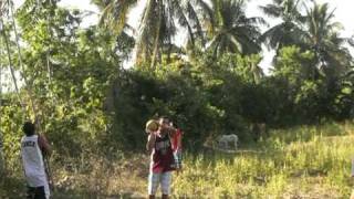 preview picture of video 'Eating Buko in Malvar'