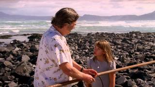 Free Willy: Escape from Pirate's Cove (2010) Video