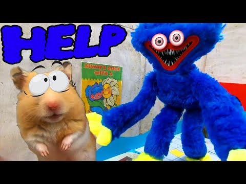 Hamster Escape From EVIL Huggy Wuggy in Poppy Playtime Maze! 🐹💀