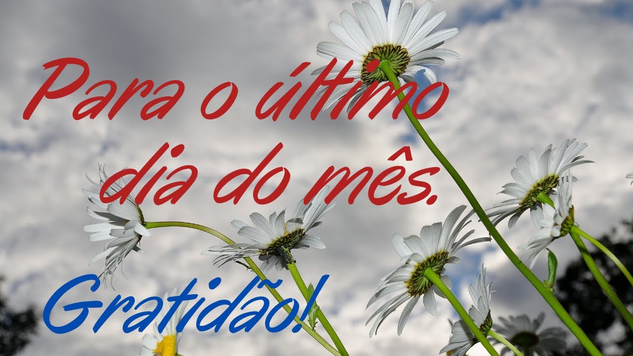 Mensagem para o Último dia do Mês/Bom dia com muita GRATIDÃO
