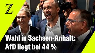 Landtagswahl in Sachsen-Anhalt: Der Wahlabend im Video