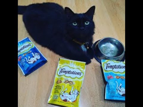 CAT's review of Temptations Cat Treats